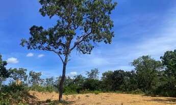 Imagem 7: Lote de 1.000 metros totalmente plano em condomínio, Jaboticatubas
