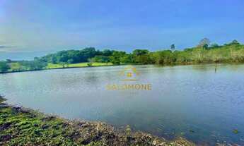 Imagem 7: Salomone vende Sítio de 3,5 hectares com Casa Rústica e aconchegante