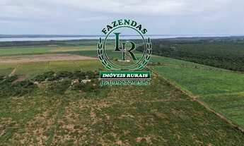 Imagem 4: Chácara de 2.500M² Próximo a Palmas Região do Prata