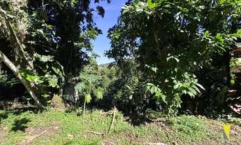 Imagem 5: Terreno liberado Pru Mirim, pronto para construção imediata