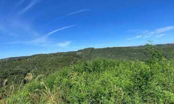 Imagem 7: Sítio em Estrada da Serra Grande - Serra Grande Italiana - Gramado/RS