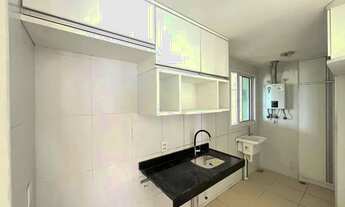 Imagem 4: AHEAD Capim Macio