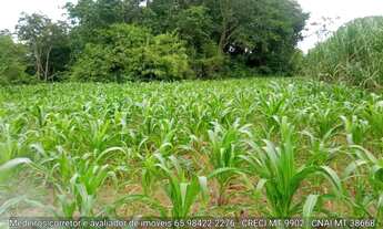 Imagem: Sítio de 32 hectares no assentamento comunidade