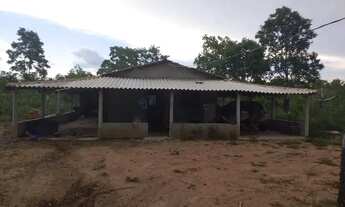 Imagem 3: Chácara de 7,5 hectares na região da cidade de Poconé MT