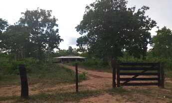 Imagem: Chácara de 7,5 hectares na região da cidade