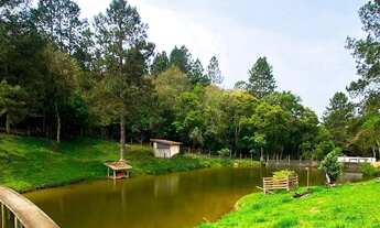 Imagem 3: Terreno plano com boa vista