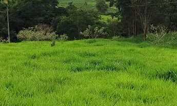 Imagem 7: Chácara em Bela vista