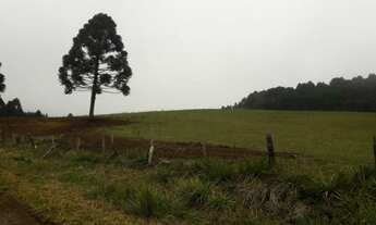 Imagem 2: Fazenda 103 alqueires a Venda em Agua Doce/General Carneiro/Palmas