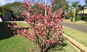 Imagem 4: Casa de condomínio para venda com 433 metros quadrados com 4 quartos