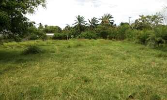 Imagem 2: TERRENO EM ABRANTES