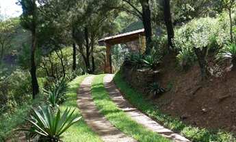 Imagem: Lindo sítio a venda em Nova Lima