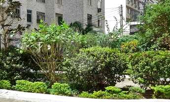 Imagem: Rio de Janeiro - Apartamento Padrão - TIJUCA