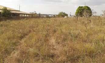 Imagem 6: Chacara Aguas Lindas só 140mil 20.000M2