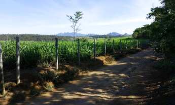 Imagem 4: Sítio em Belvedere