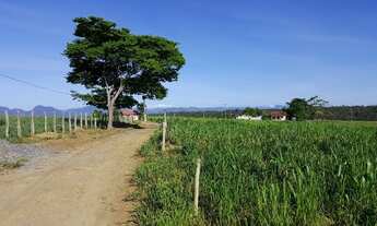 Imagem 2: Sítio em Belvedere