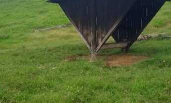 Imagem 5: Fazenda com 25 alqueires, com 19 alqueires de Pastos - Novo Repartimento - PA