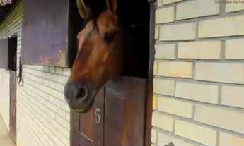 Imagem 4: Fazenda na Zona Rural de Cruz das Almas