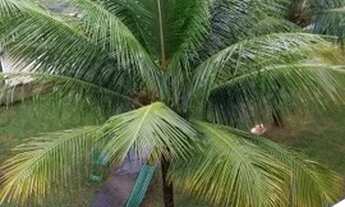 Imagem 3: Apartamento à Venda, Vila São José, Taubaté - 2 Quartos