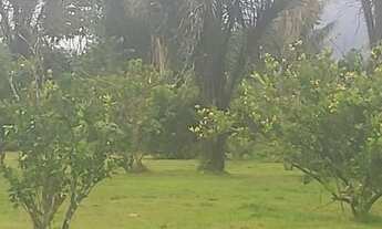 Imagem 6: Sítio em Itacoatiara com 15.000m²