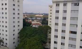 Imagem 11: SãO PAULO - Padrão - Campo Belo