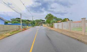 Imagem 4: Vendas Casa Balsa Nova PR