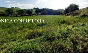 Imagem 3: Sítio venda em Rio Novo MG. 32 hectares