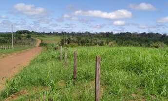 Imagem 6: Fazenda em rorainopolis