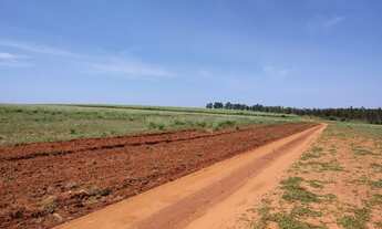 Imagem 5: Fazenda Região Guaraci -PR. Distrito Bentópolis