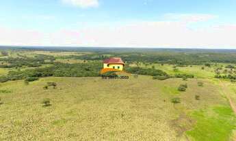 Imagem 3: Fazenda para Venda em Nova Rosalândia
