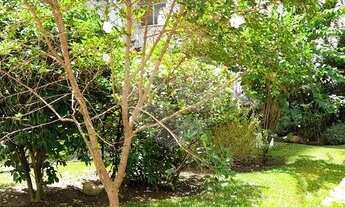 Imagem 2: Rio de Janeiro - Apartamento Padrão - TIJUCA