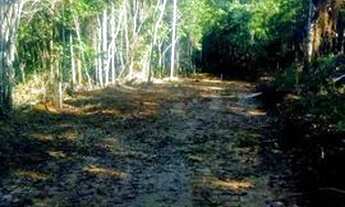 Imagem 3: Chácara Chácara com venda por R$850.000