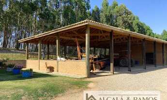 Imagem 7: Sítio com 9,8 alqueires em Área Rural de Itu - Itu - SP