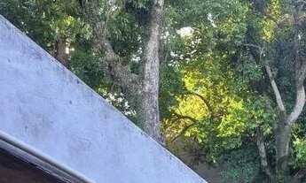 Imagem 2: Terreno em Menino Deus