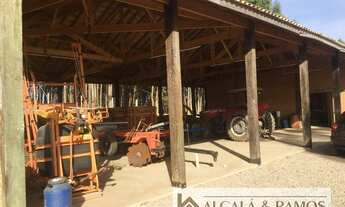 Imagem 6: Sítio com 9,8 alqueires em Área Rural de Itu - Itu - SP