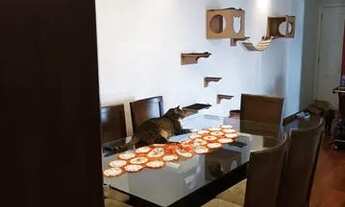 Imagem 2: Apartamento para venda possui 85 metros quadrados com 3 quartos em Casa Verde - São Paulo