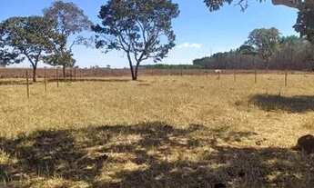 Imagem 2: Chácaras em guapo sendo 3 km e meio apenas da cidade !