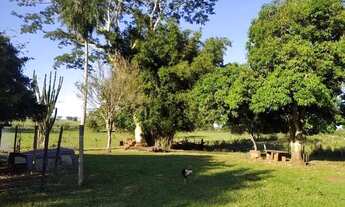 Imagem 3: Excelente chácara 30 hec - Douradina MS