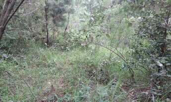 Imagem 4: Sítio dentro de condomínio