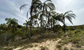 Imagem 7: Sitio Olaria 32.000 m2