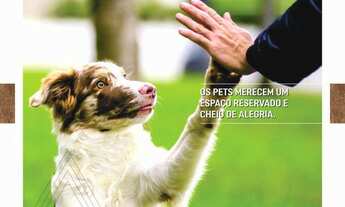 Imagem 5: Lancamento Avante apto 3 dorm bairro floresta