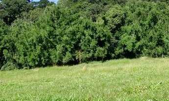 Imagem 4: Lf- Terreno com metragem de 600 metros