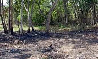 Imagem 2: Chácara em Miracema. 300mil