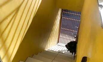 Imagem 5: Vendo- se esta casa