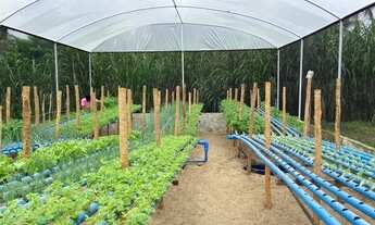 Imagem: Sítio em Itaporanga D Ajuda