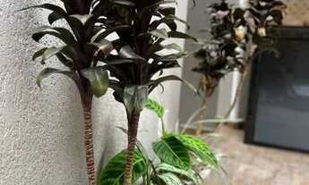 Imagem 6: Oportunidade!! Casa com 3 suites, Vilamar