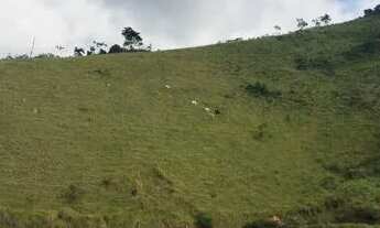 Imagem 5: Linda chácara para quem quer sossego descanso e paz