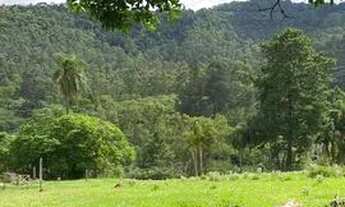 Imagem 2: Terreno Com Ruas Abertas em Atibaia