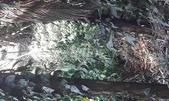 Imagem 4: São Paulo - Terreno Padrão - Tucuruvi