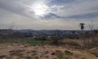 Imagem 2: Lote Tropical Contagem Top e barato pra vender rápido