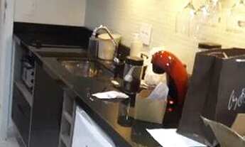 Imagem 2: Flat Granja Brasil Itaipava